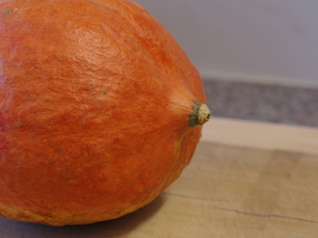 potimarron entier