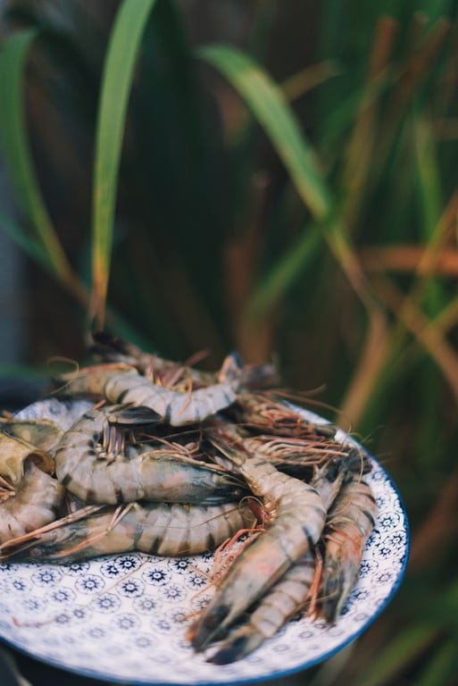 Crevettes black tiger