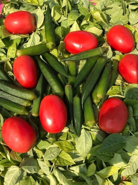 Gombos et tomates