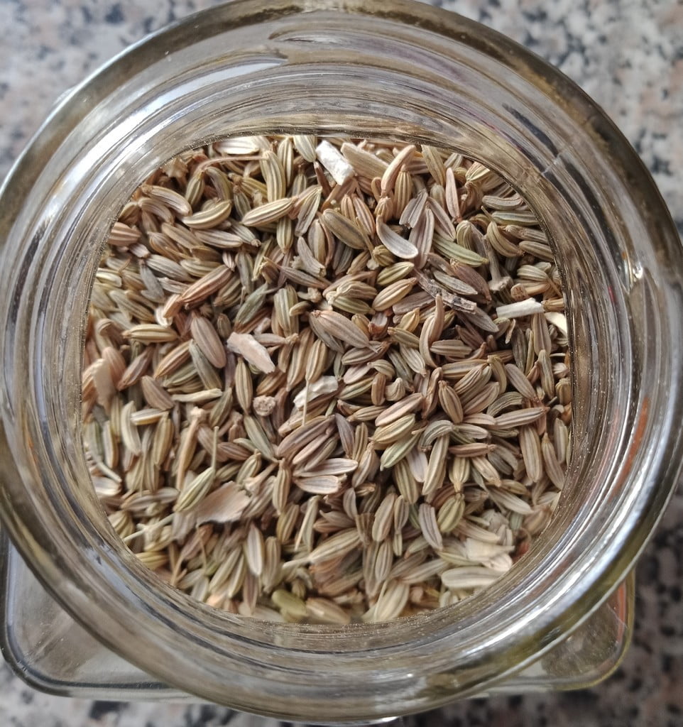 Graines de fenouil