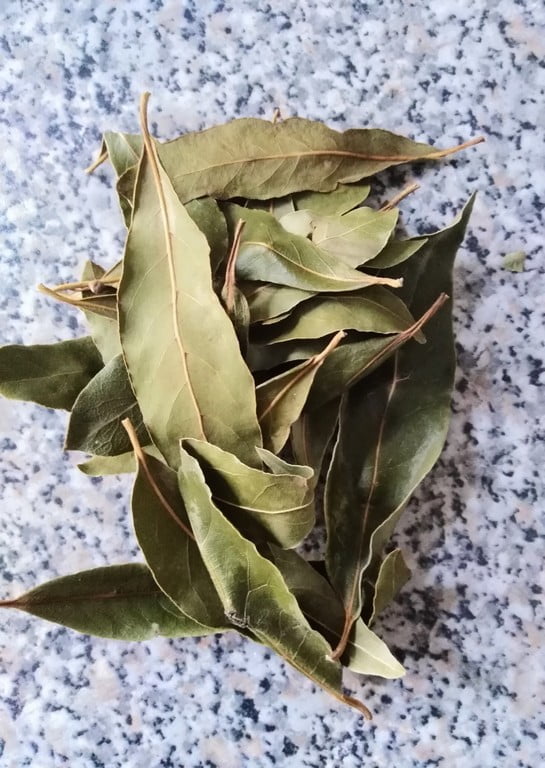 feuilles de laurier sechées