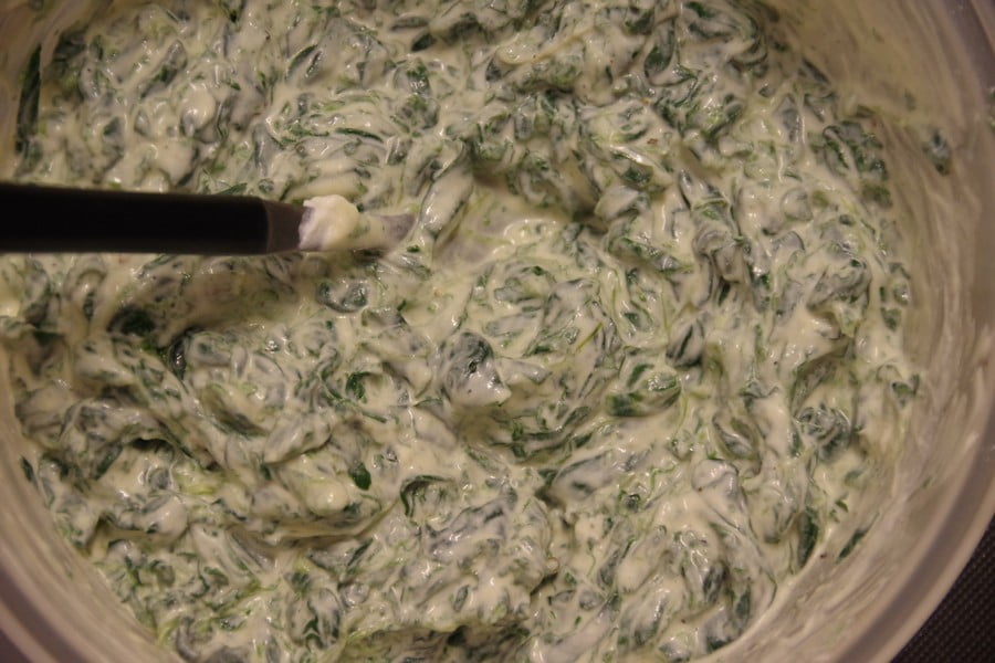 Melange d'epinard et de ricotta pour mantis ouzbek