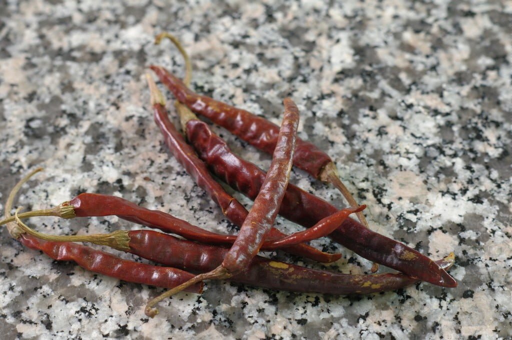 Piments arbol du Mexique