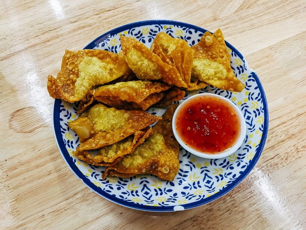assiette de wontons frits