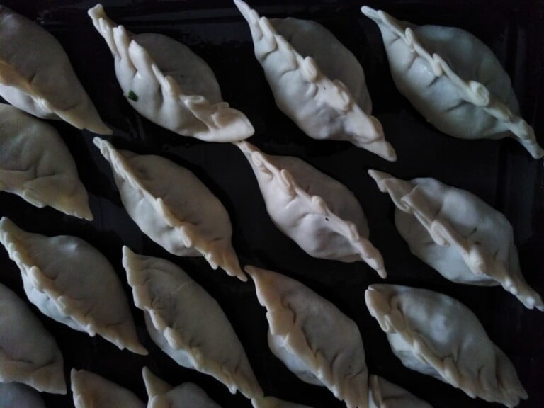Gyozas japonais