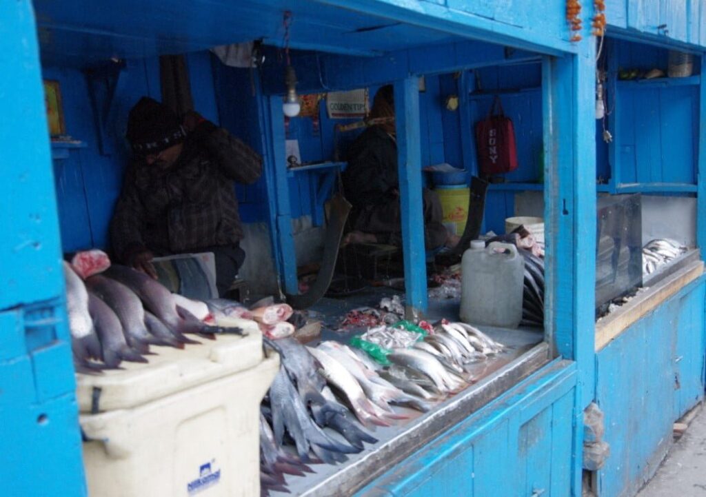 Etal de poissons à Darjeeling en Inde. Recettes indiennes