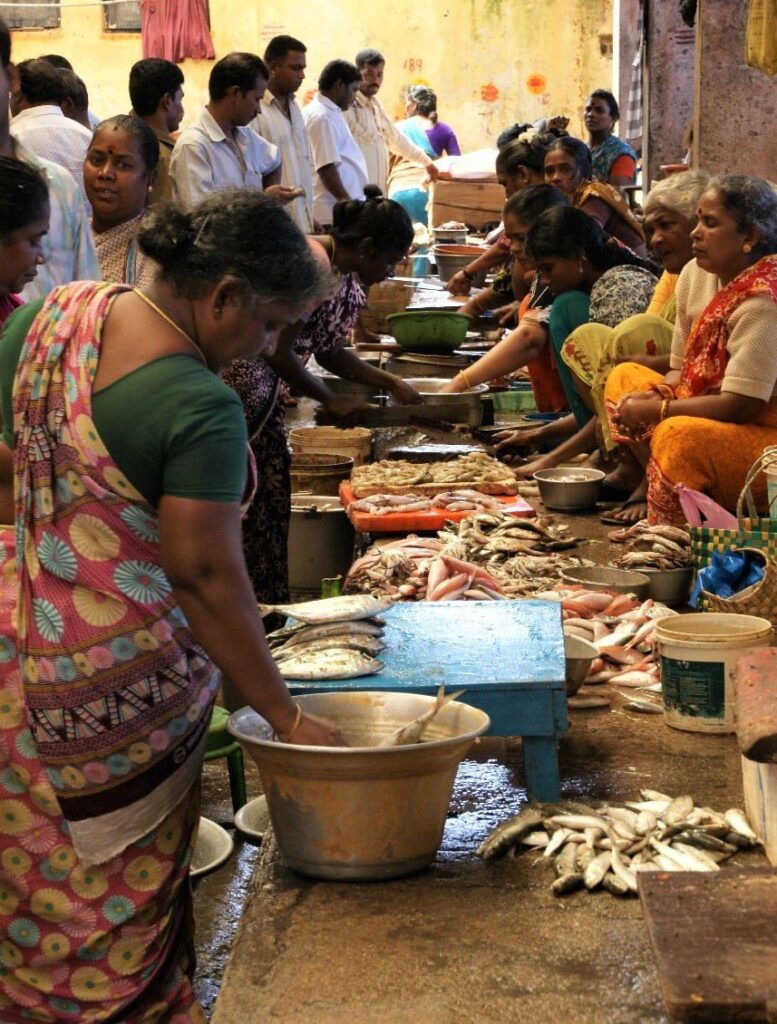 Marché aux poisson à Pondicherry en Inde. Recettes indiennes