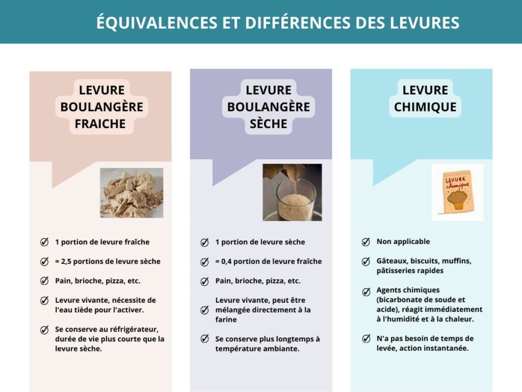 Tableau d'équivalence des levures